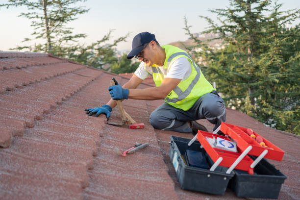 Slate Roofing Contractor in Potomac Park, CA